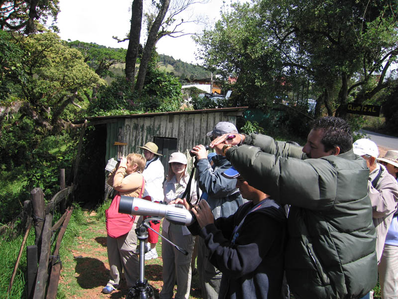 Bird Watchers