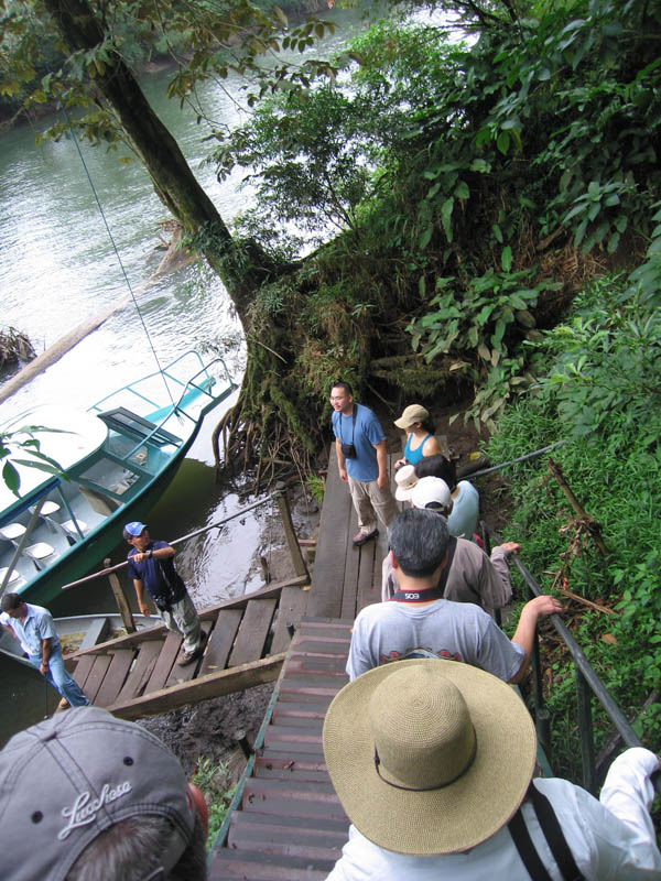 jungle cruise