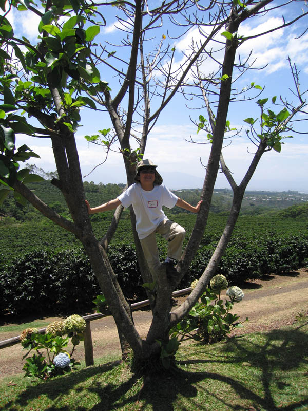 devin in the tree