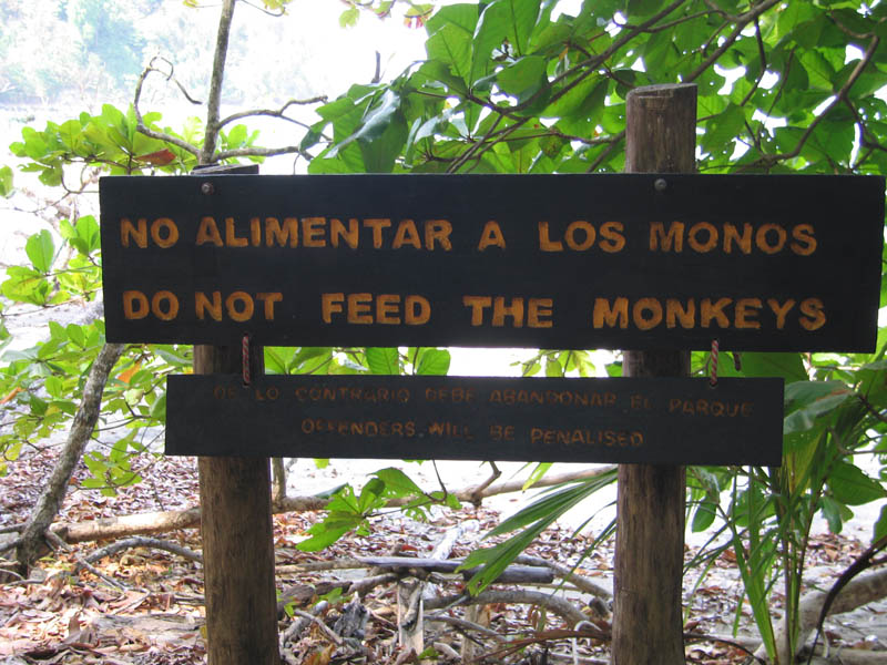 manuel antonio